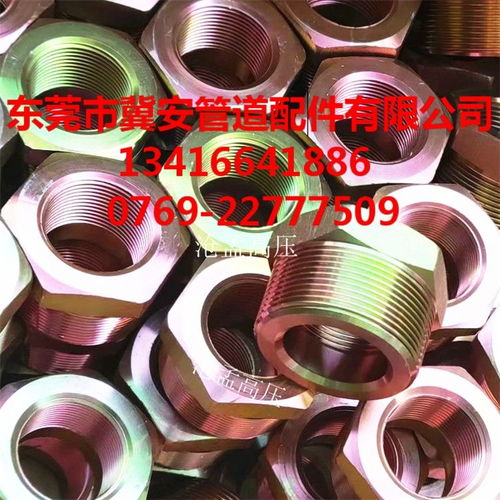 消防氣體管件在廣東汕頭與惠州的應(yīng)用 碳鋼內(nèi)外絲補(bǔ)芯管件解析